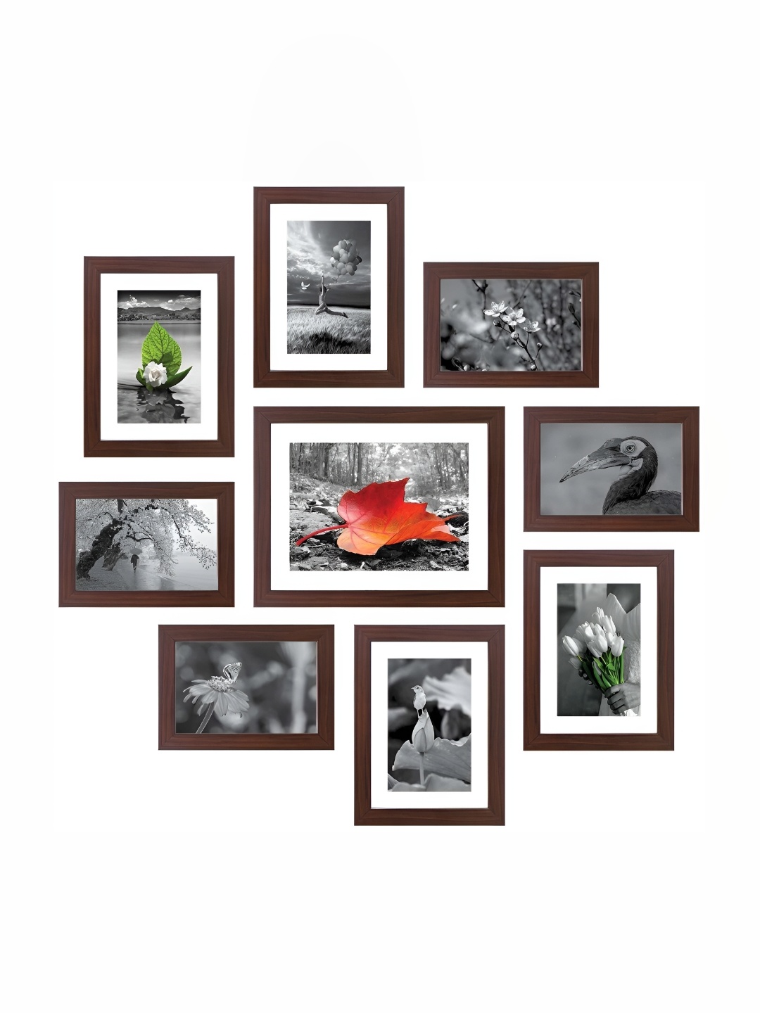 

Stuthi Arts Brown 9 Pieces Wood Wall Photo Frames