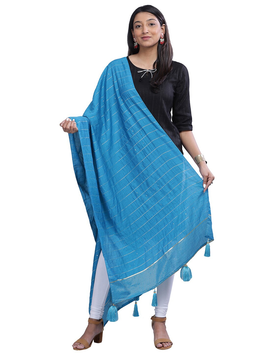 

Aanys Culture Striped Dupatta with Zari, Blue