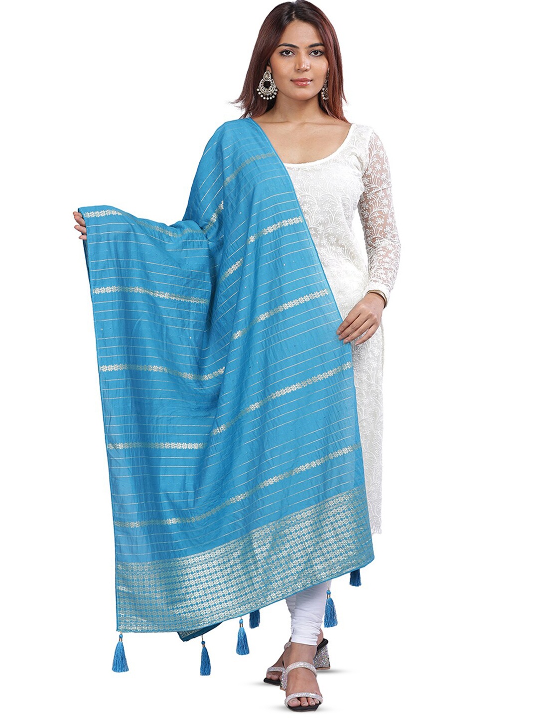 

Aanys Culture Printed Dupatta with Zari, Blue
