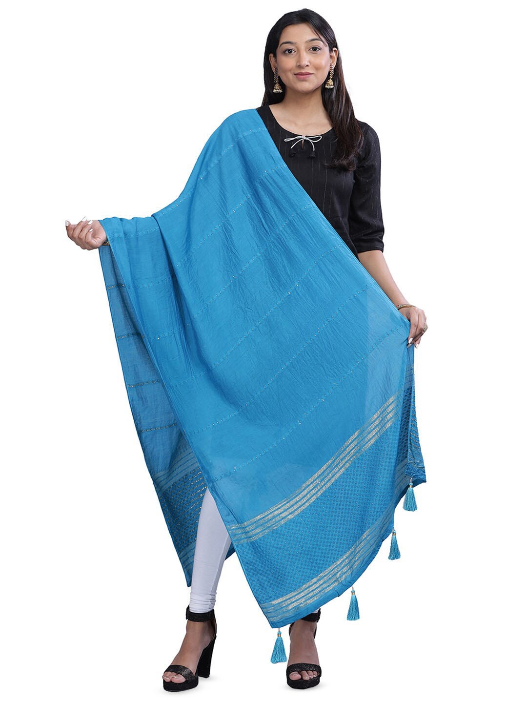 

Aanys Culture Striped Cotton Silk Chanderi Zari Dupatta, Blue