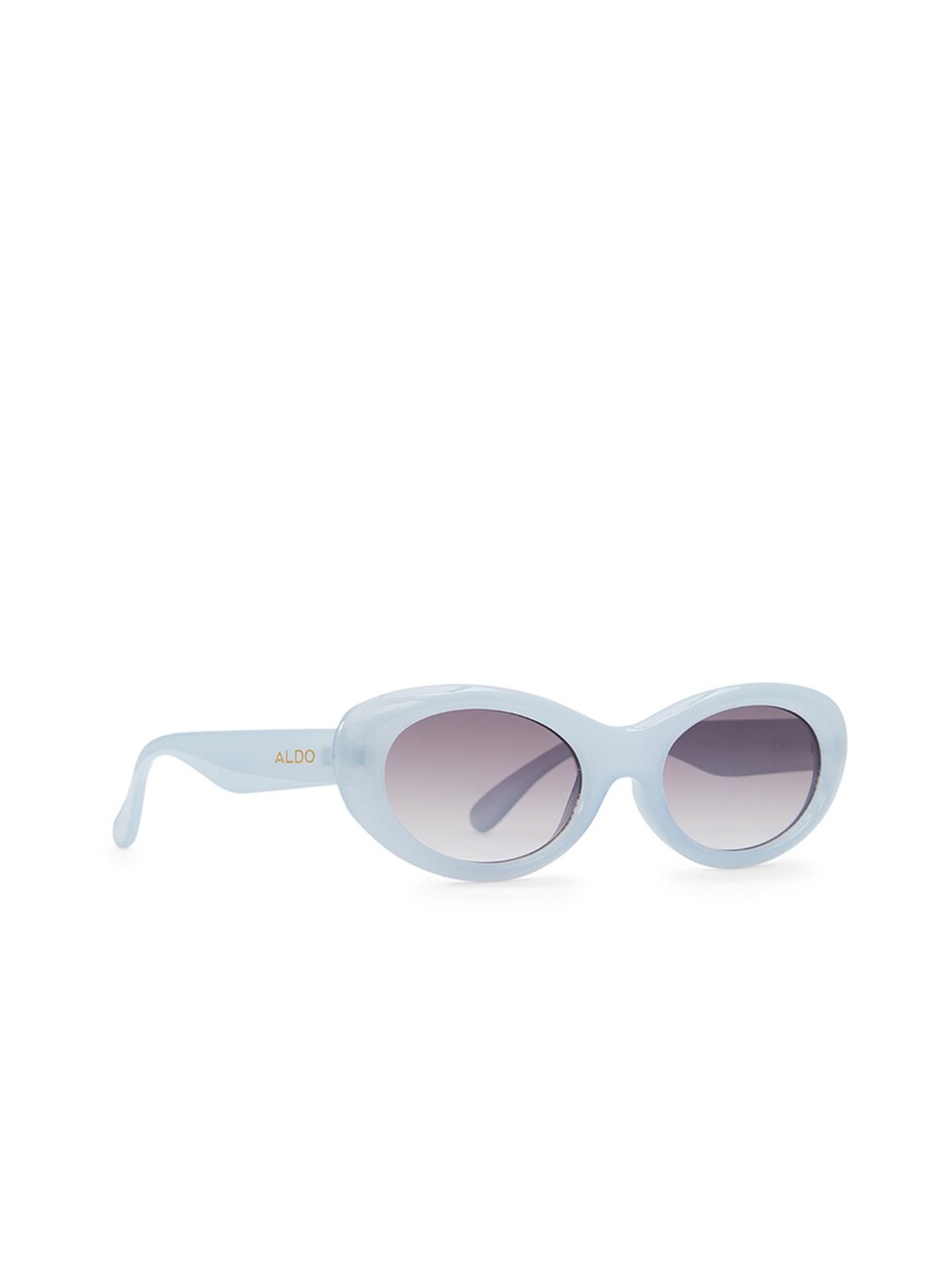 

ALDO Women Oval Sunglasses ONDINE450, Blue