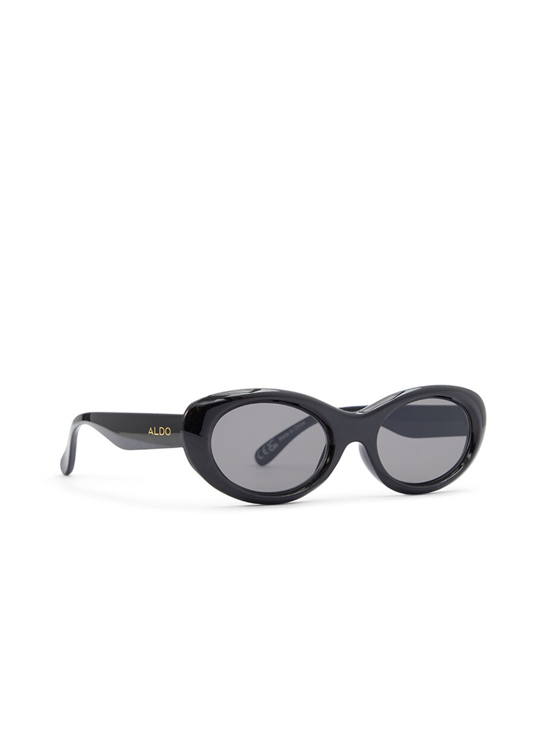 

ALDO Women Oval Sunglasses ONDINE001, Black