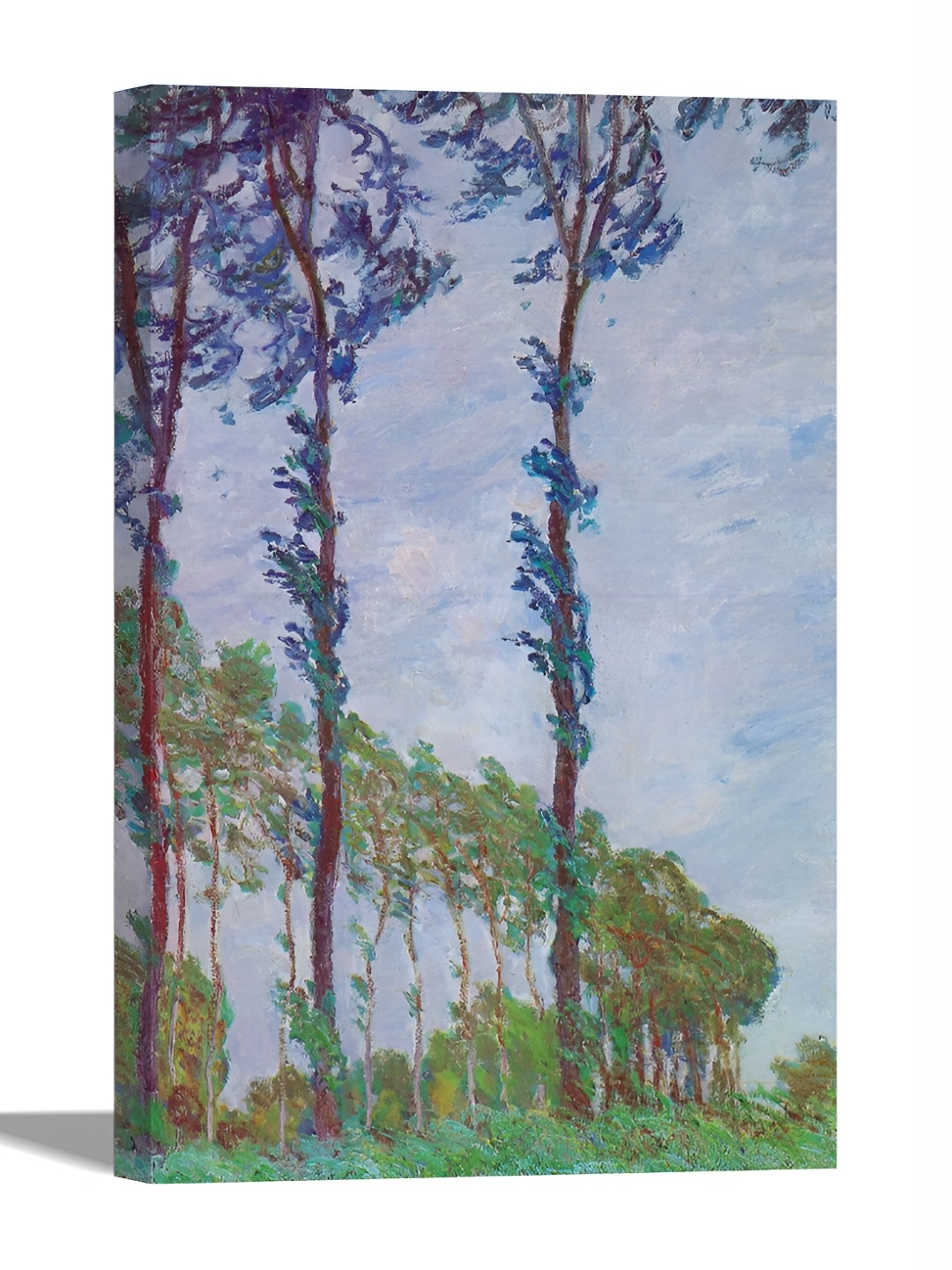 

Tamatina Grey Poplars Wind Effect Canvas Wall Decor