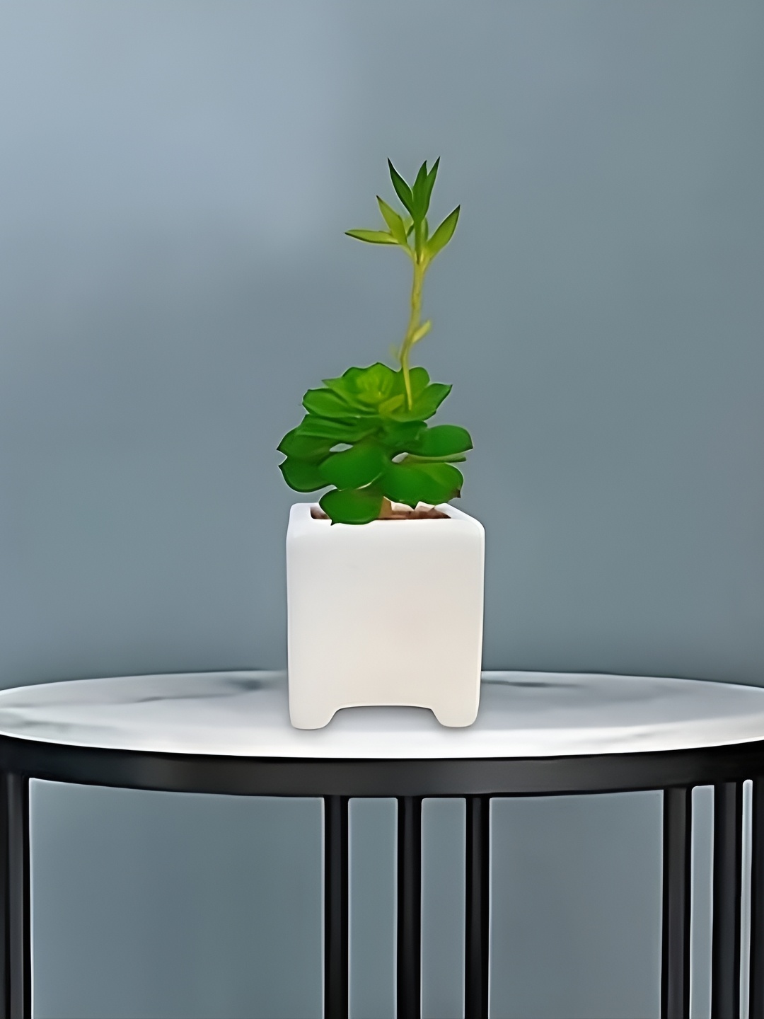 

Garden Deco Green Succulent Artificial Flower