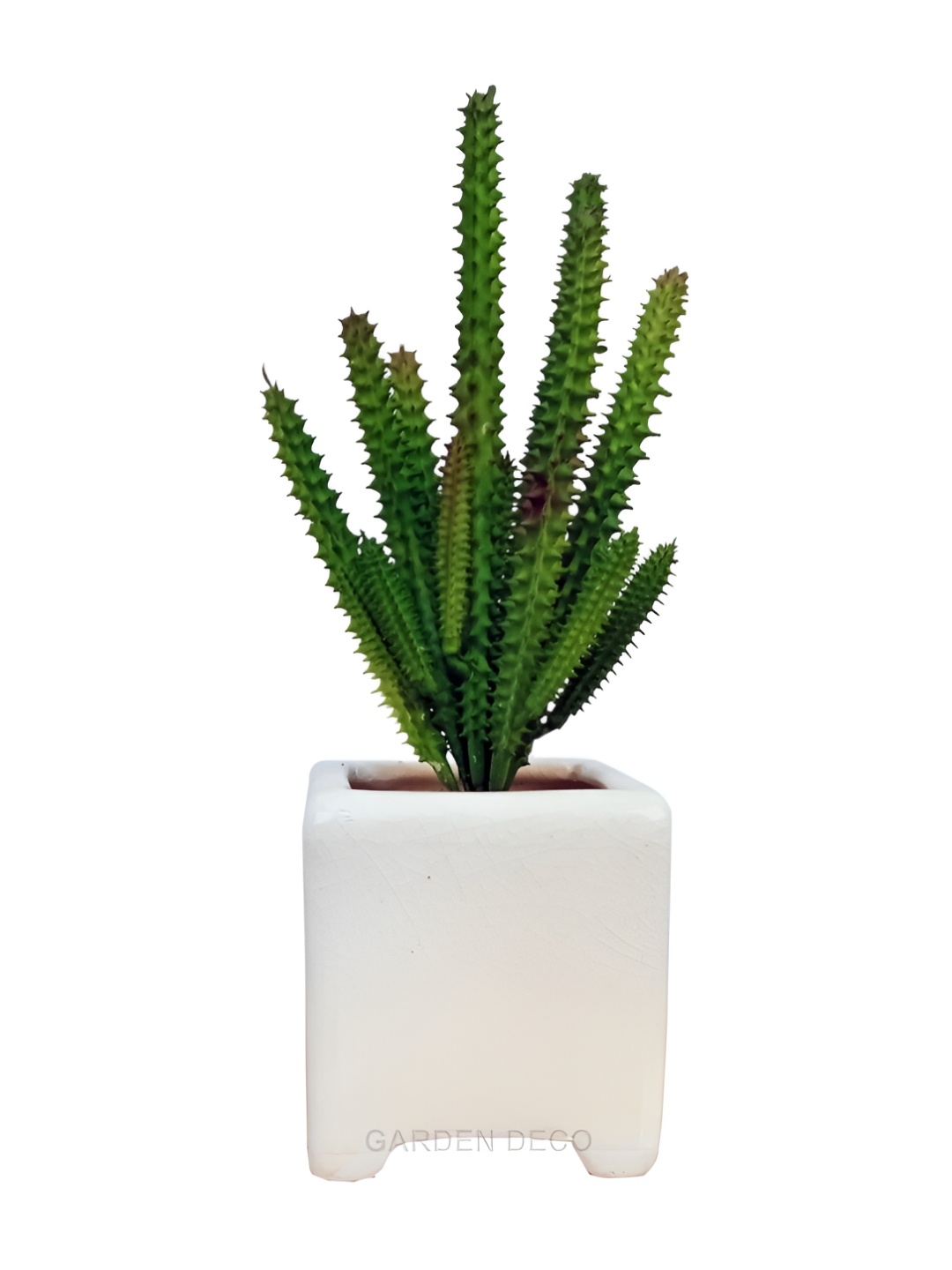 

Garden Deco Green Succulent Artificial Flower