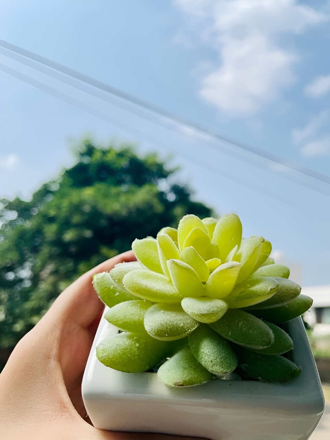 

Garden Deco Green Succulent Artificial Flower