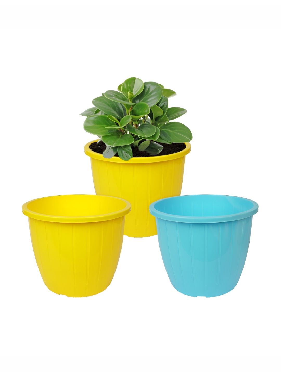 

Kuber Industries Yellow & Blue 3 Pieces Textured Duro Flower Planters