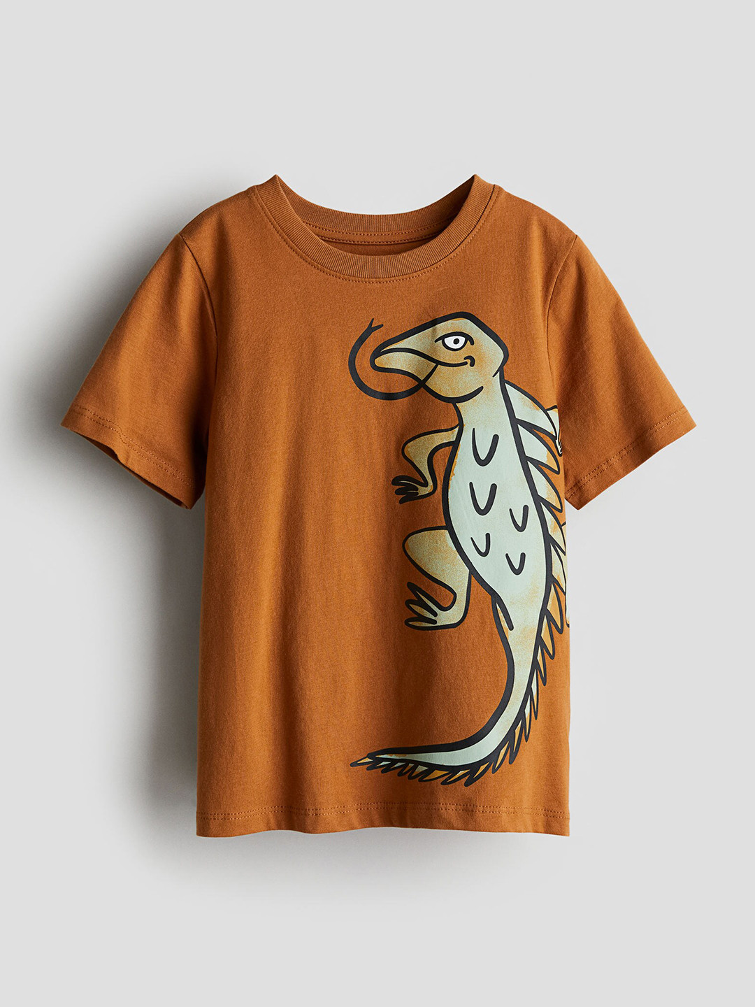 

H&M Boys Pure Cotton Printed T-shirt, Brown