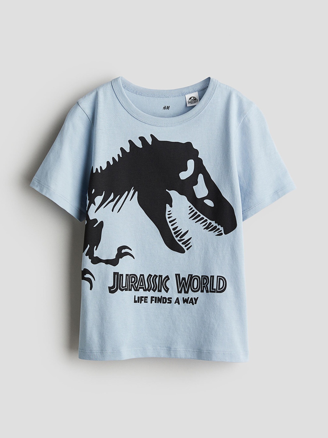 

H&M Boys Printed Cotton T-shirt, Blue