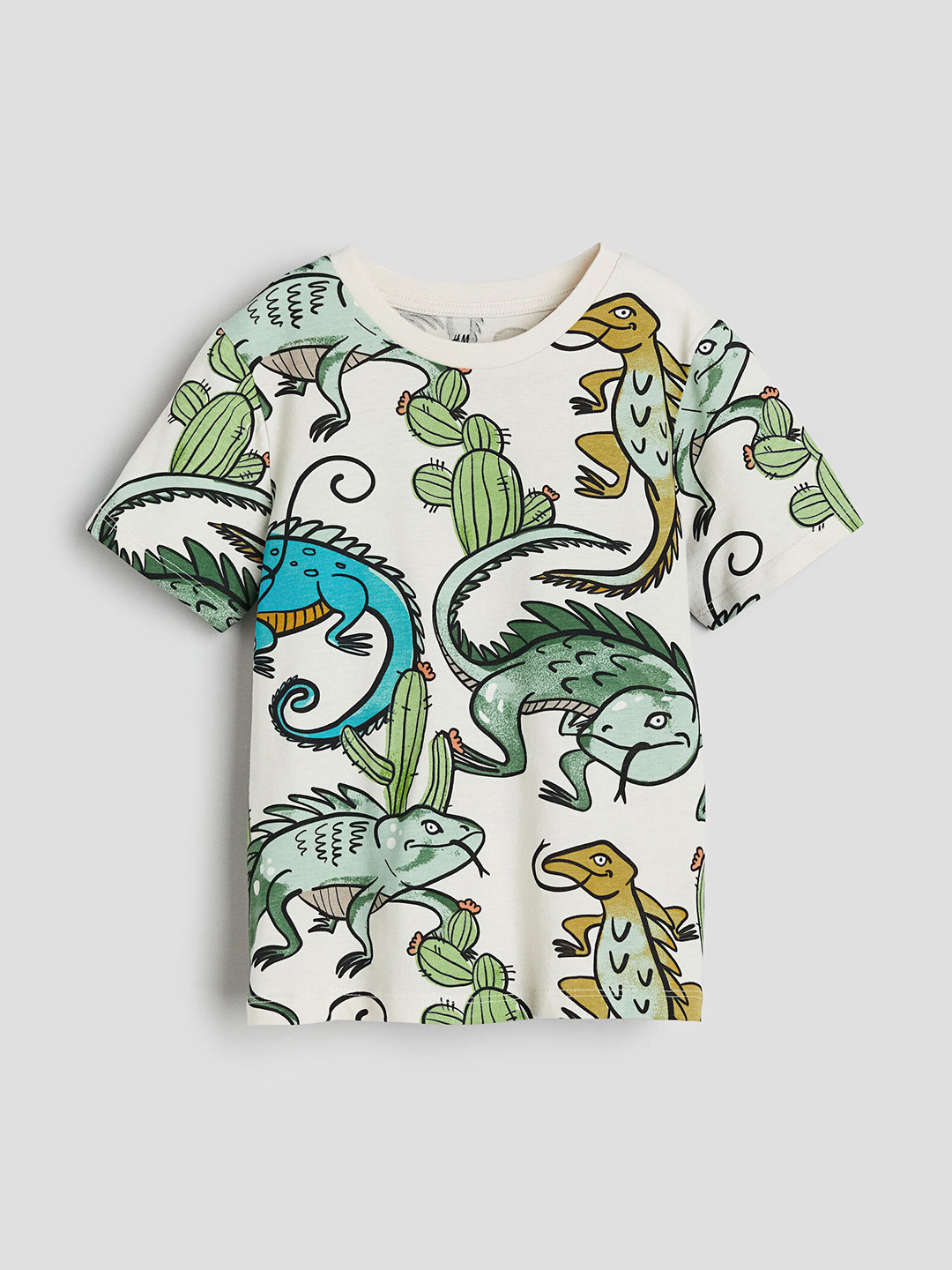 

H&M Boys Pure Cotton Printed T-shirt, White