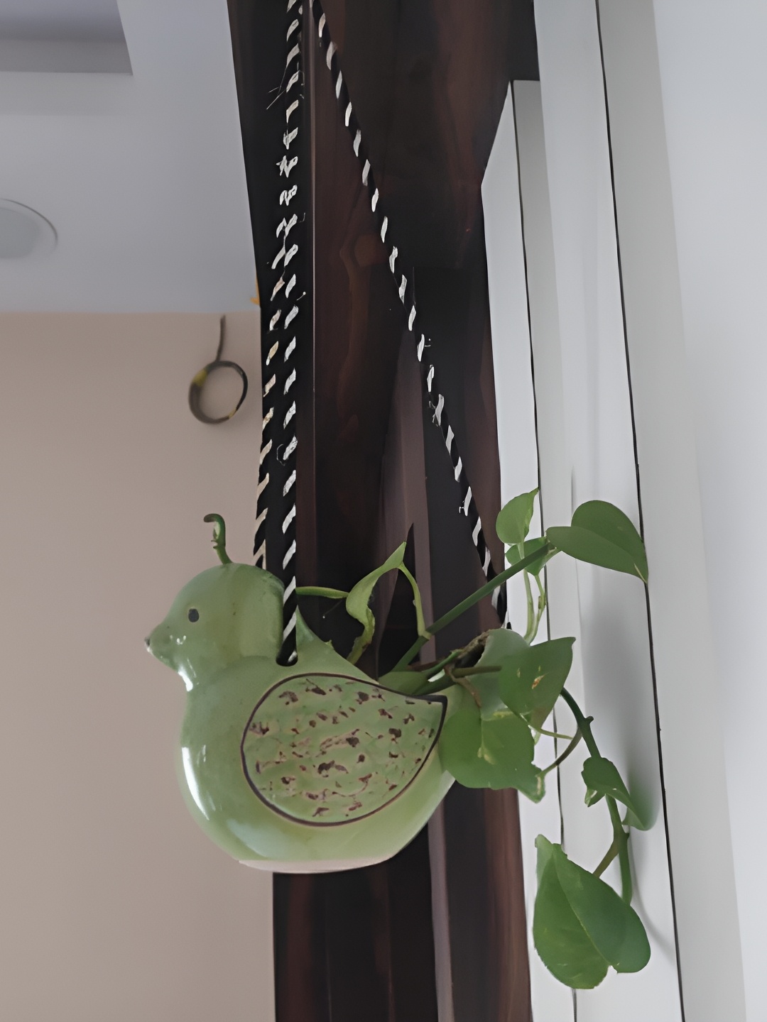 

INDIA MEETS INDIA Green Ceramic Hanging Planter