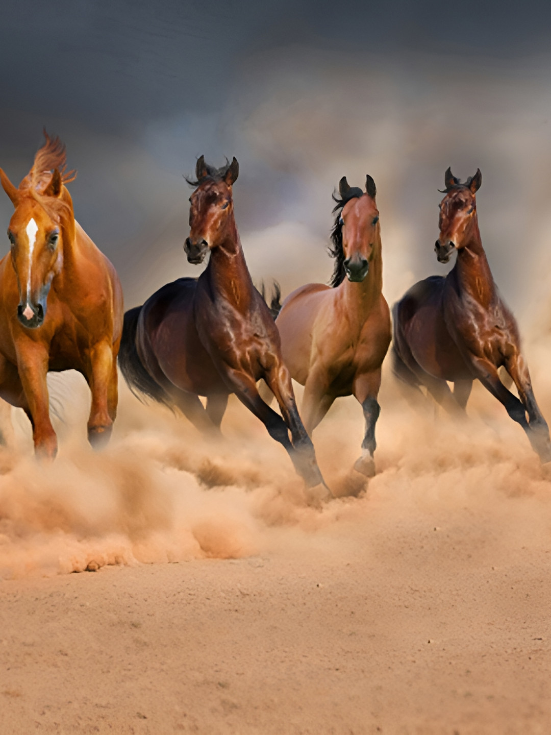 

masstone Brown & Grey Running Horses Self Adhesive Wall Sticker