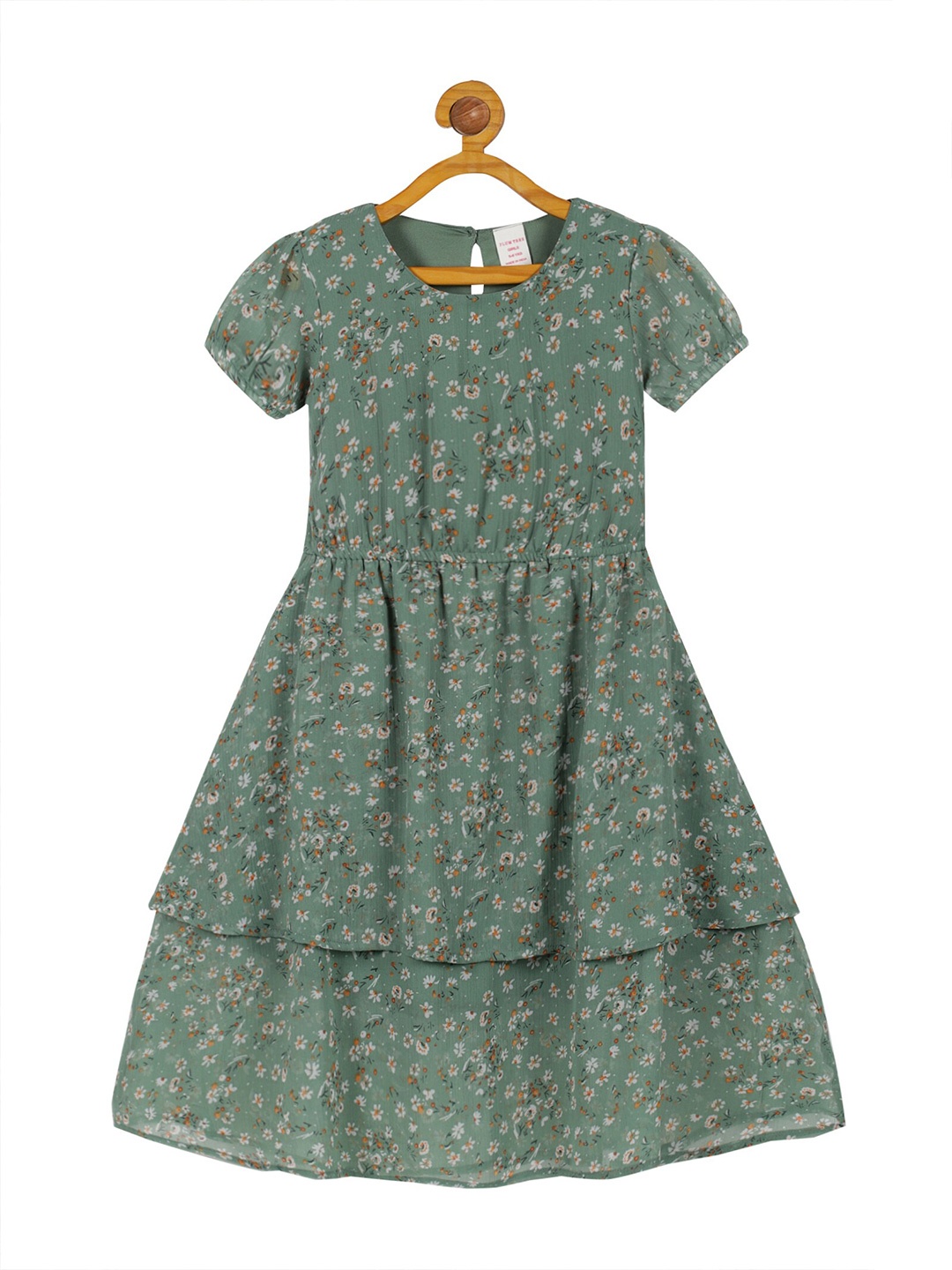

PLUM TREE Girls Floral Print Chiffon A-Line Dress, Green