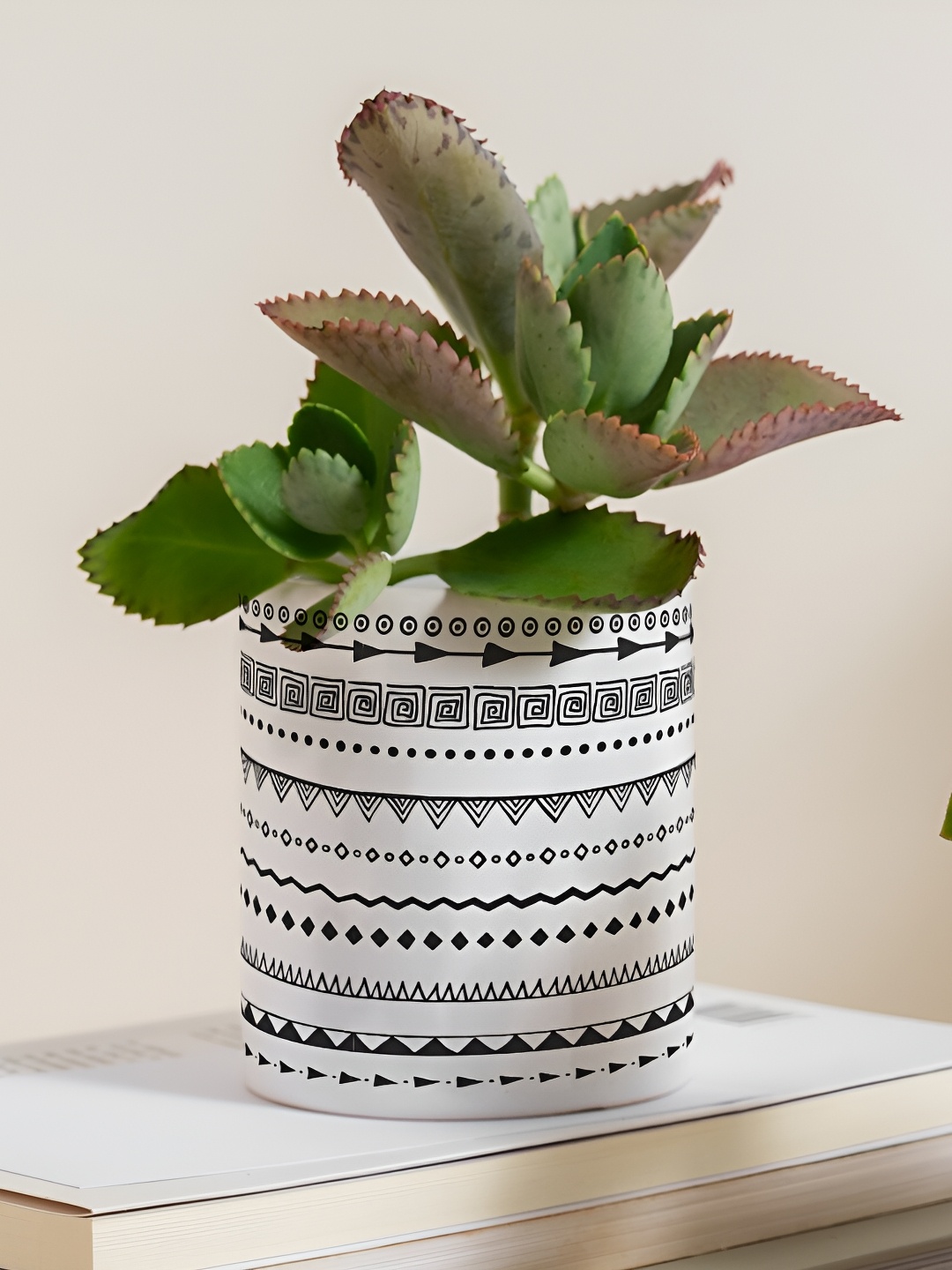

Gathari White & Black Printed Ceramic Portable Planter
