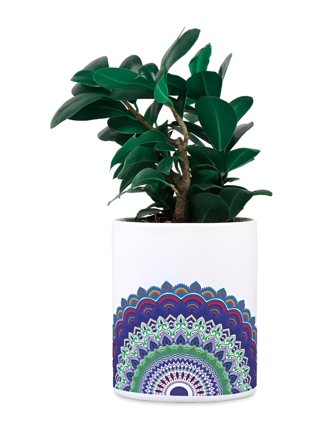 

Gathari White Printed Ceramic Planters