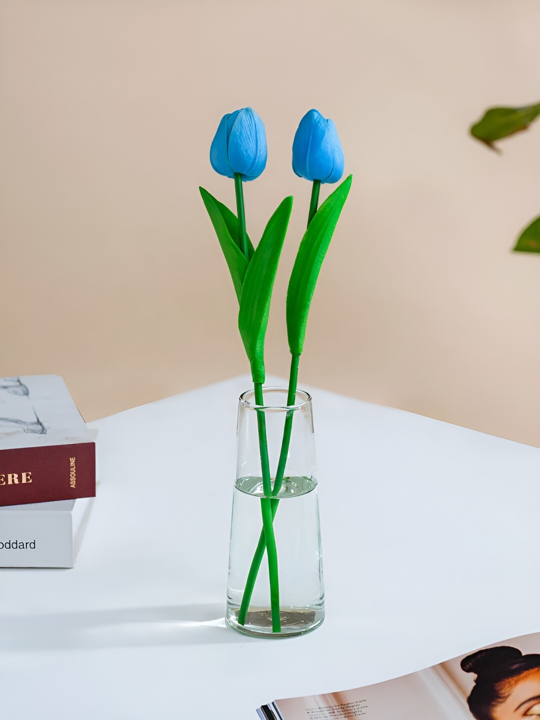 

DecorTwist Transparent Solid Decorative Glass Flower Vase