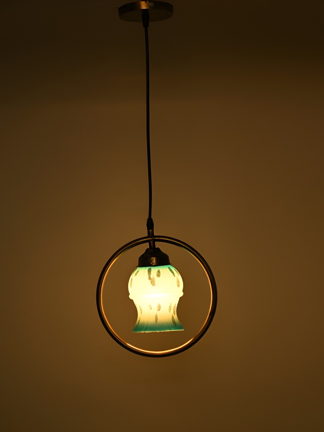 

1ST TIME White & Green Printed Glass Traditional Ceiling Lamp
