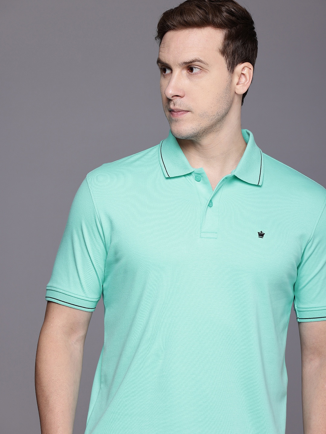 

Louis Philippe Polo Collar Pure Cotton T-shirt, Blue