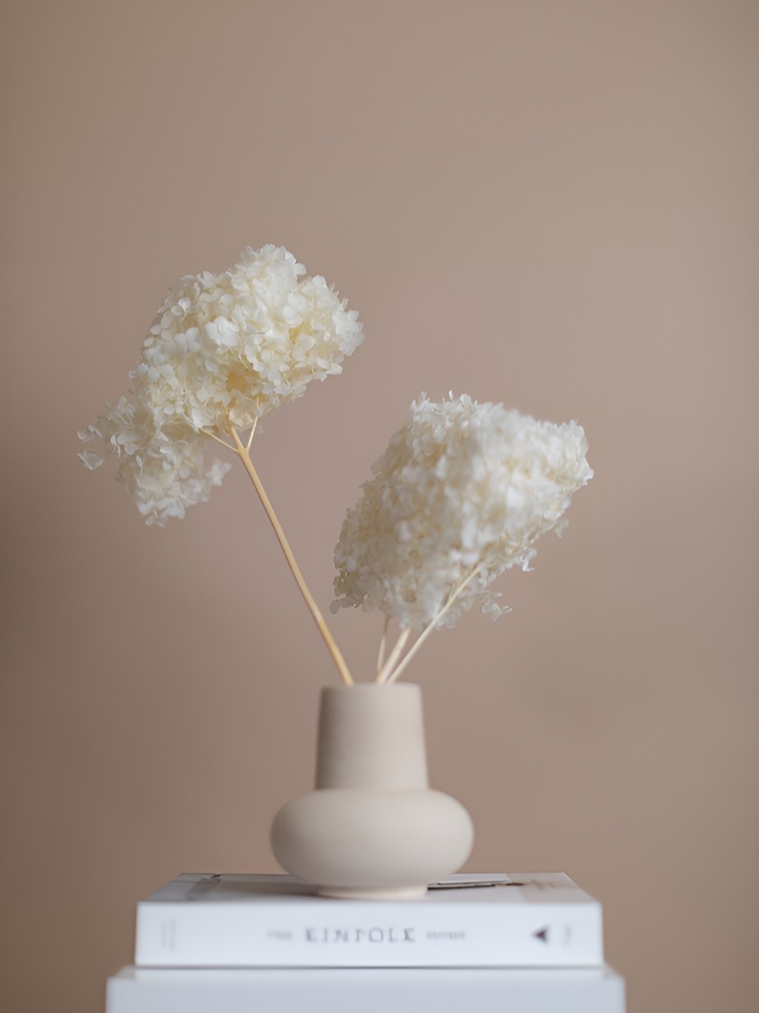 

ArteCasa White Hydrangea Dried Flower