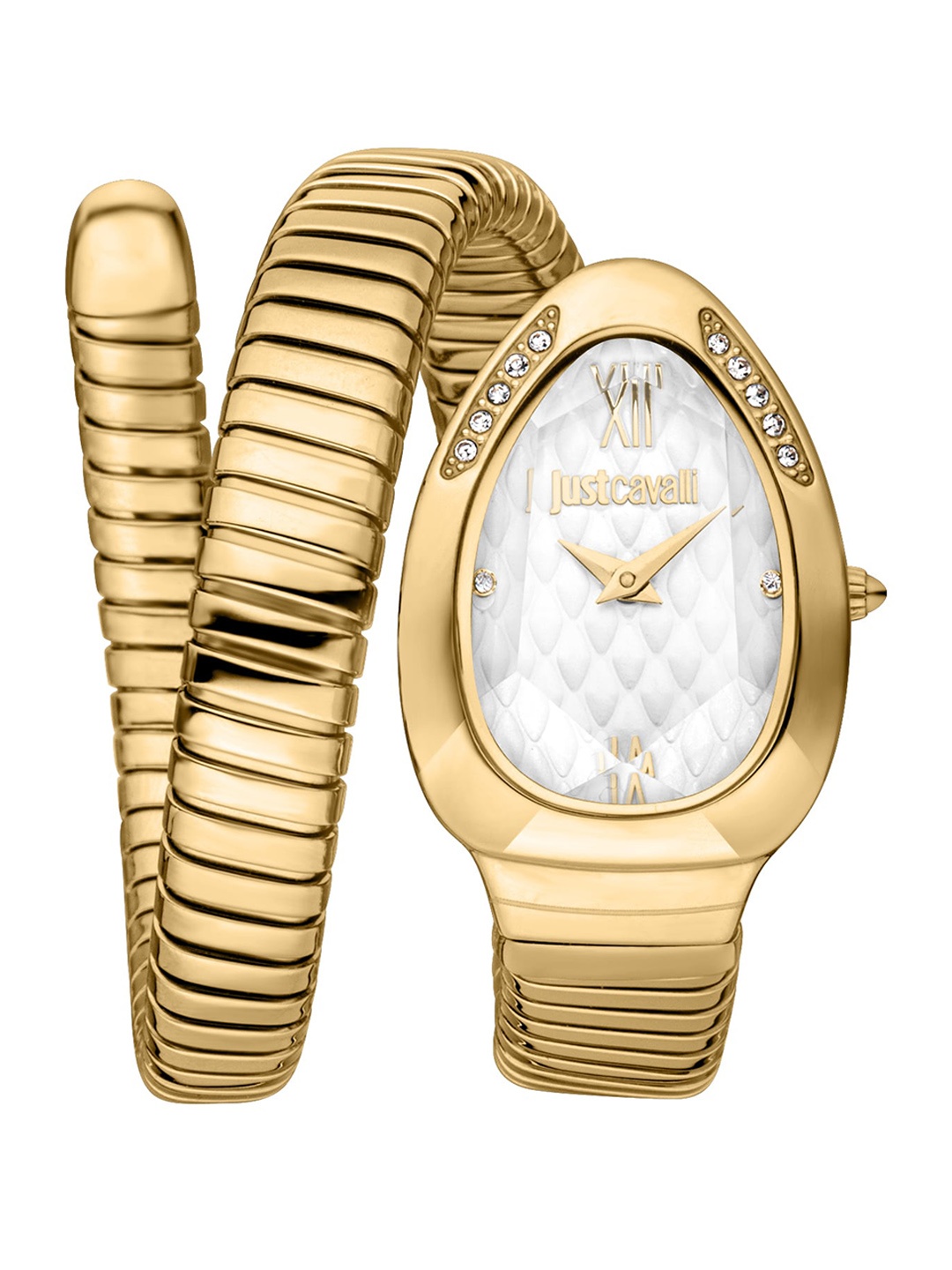 

Just Cavalli Women Dial & Stainless Steel Wrap Around Straps Analogue Watch JC1L223M0025, Gold