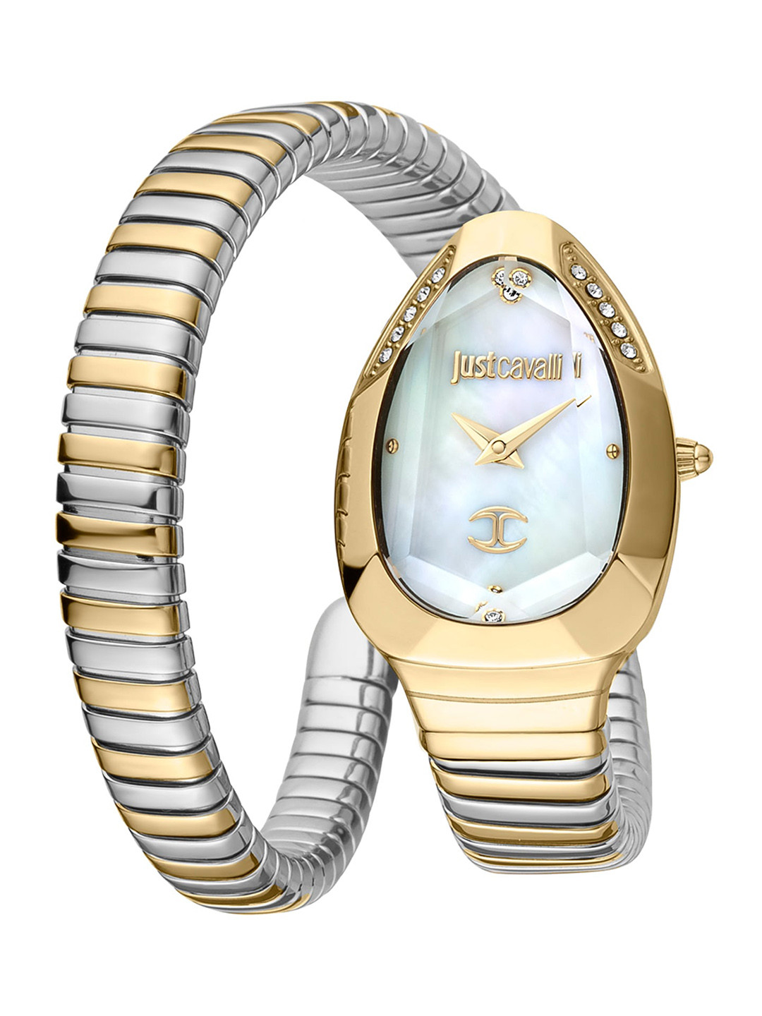 

Just Cavalli Women Mother of Pearl Dial & Stainless Steel Analogue Watch JC1L208M0065, Silver