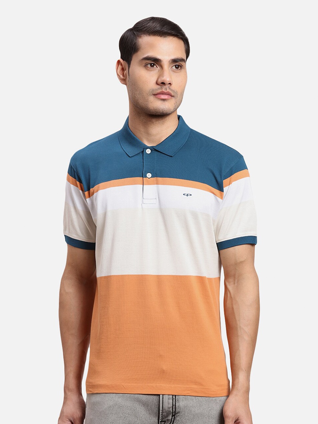 

ColorPlus Colourblocked Polo Collar Cotton T-shirt, Blue