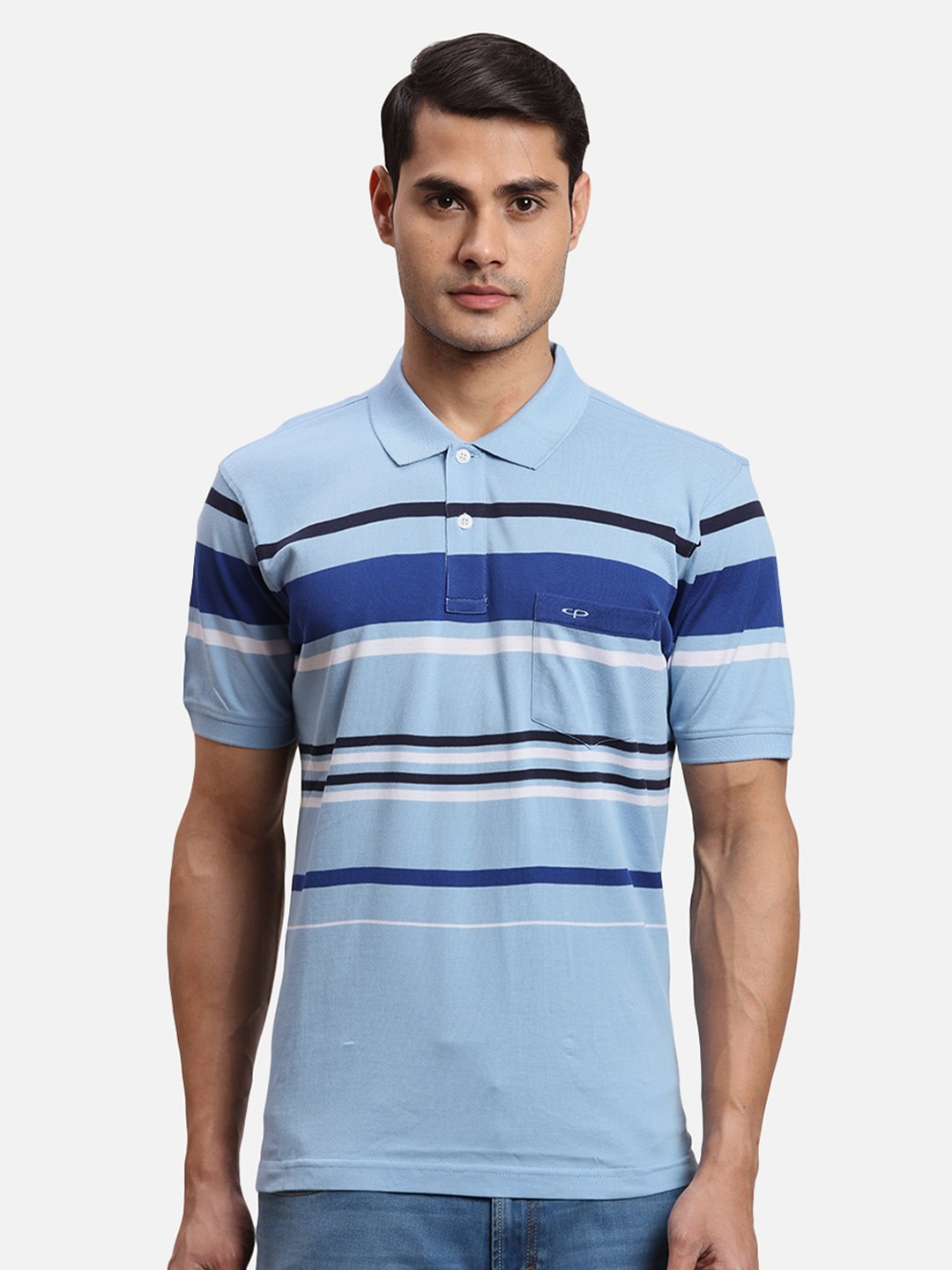 ColorPlus Striped Polo Collar Cotton T-shirt, Blue