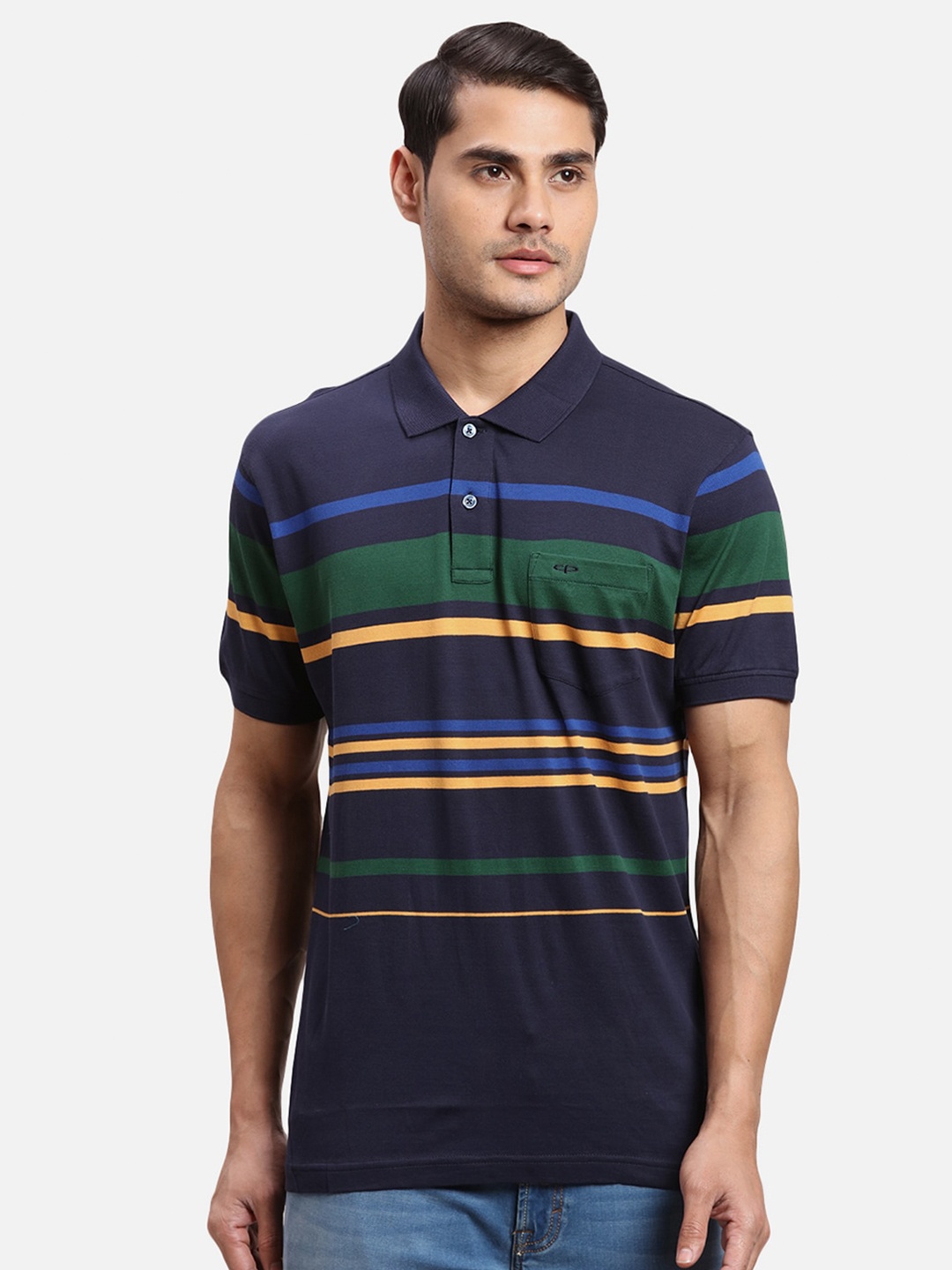ColorPlus Striped Polo Collar Cotton T-shirt, Navy blue