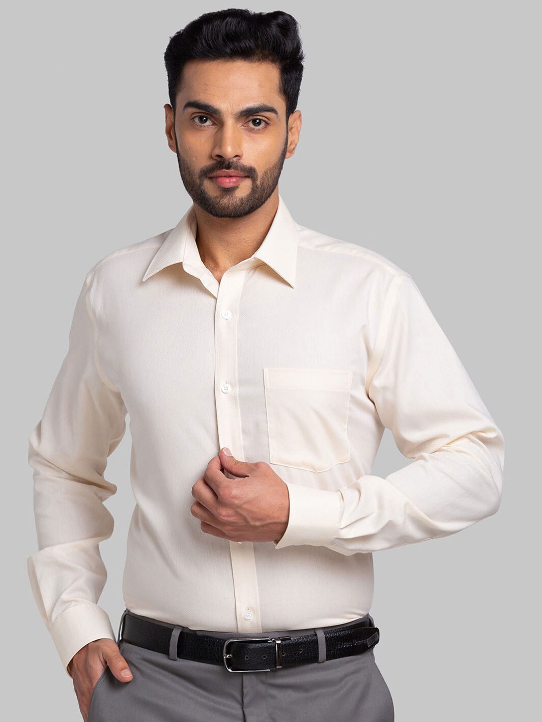

Park Avenue Regular Fit Long Sleeves Cotton Opaque Casual Shirt, Beige