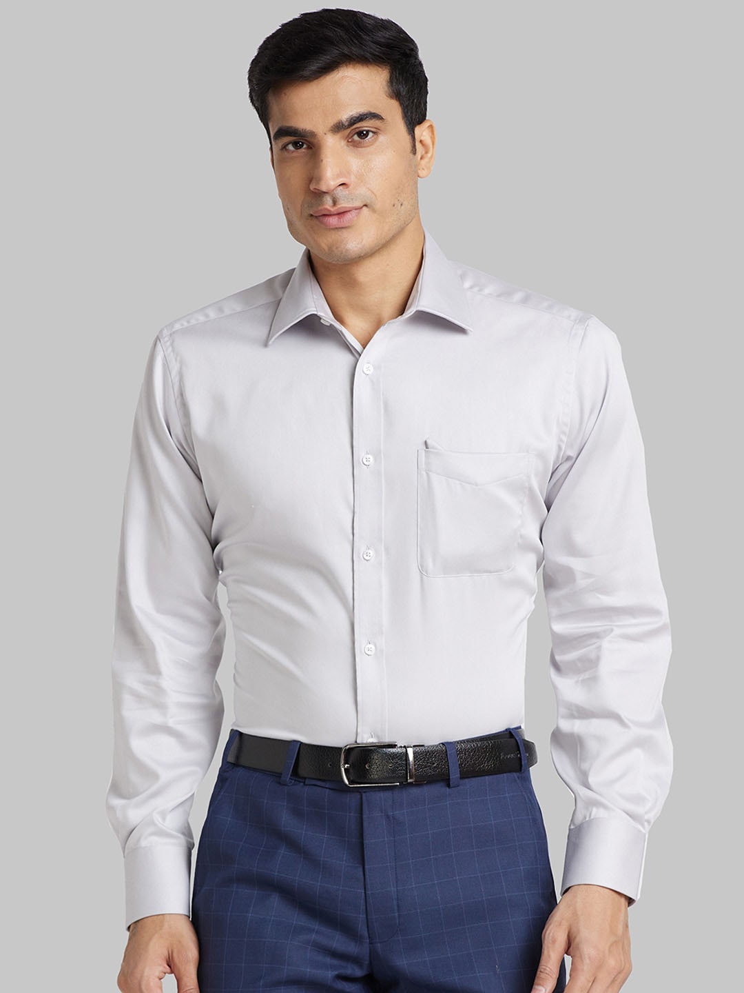 

Park Avenue Regular Fit Long Sleeves Cotton Opaque Casual Shirt, Grey