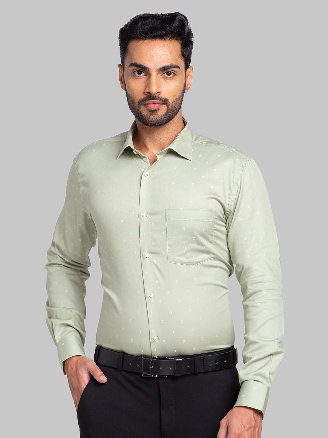 

Park Avenue Slim Fit Long Sleeves Cotton Opaque Casual Shirt, Green