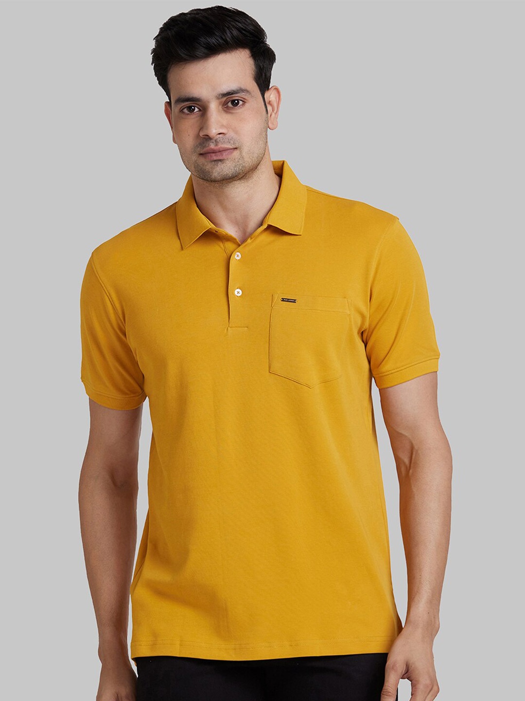 

Park Avenue Slim Fit Polo Collar Cotton T-shirt, Yellow