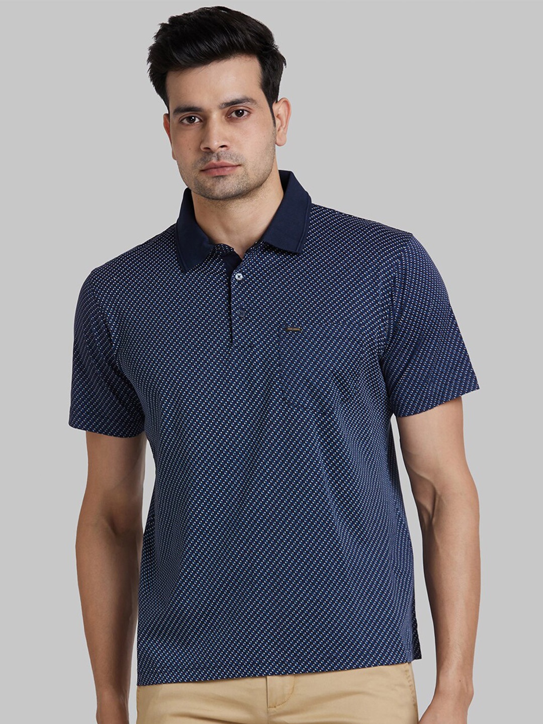 

Park Avenue Slim Fit Self Design Polo Collar Cotton T-shirt, Blue