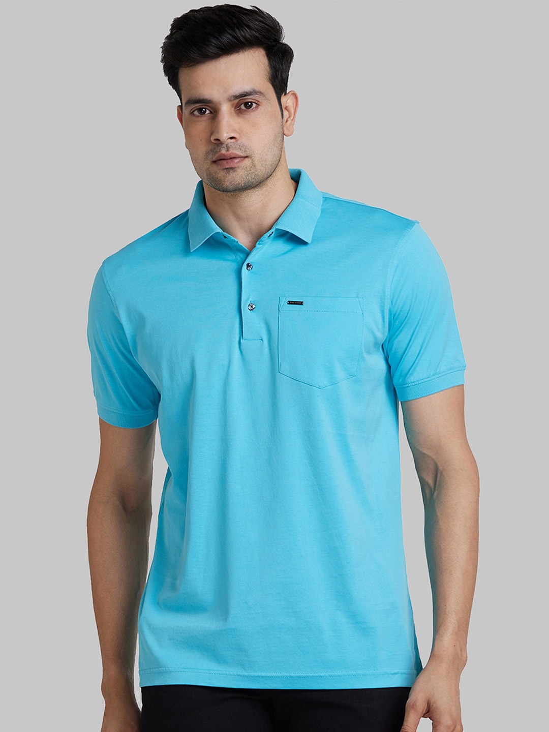 

Park Avenue Slim Fit Polo Collar Cotton T-shirt, Blue