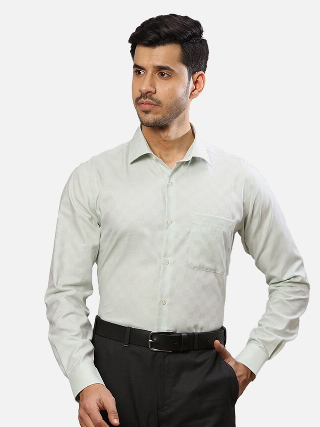

Raymond Self Designed Cotton Formal Shirt, Green