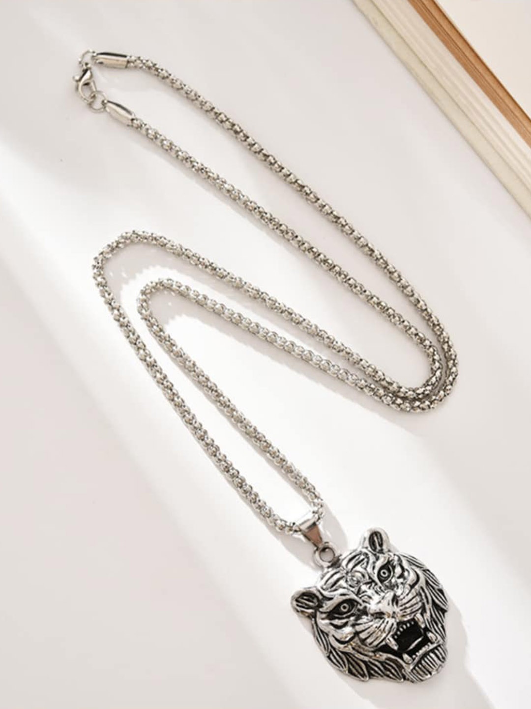 

SALTY Lion Kingdom Medallion Men Stainless Steel Contemporary Pendant with Chain, Silver