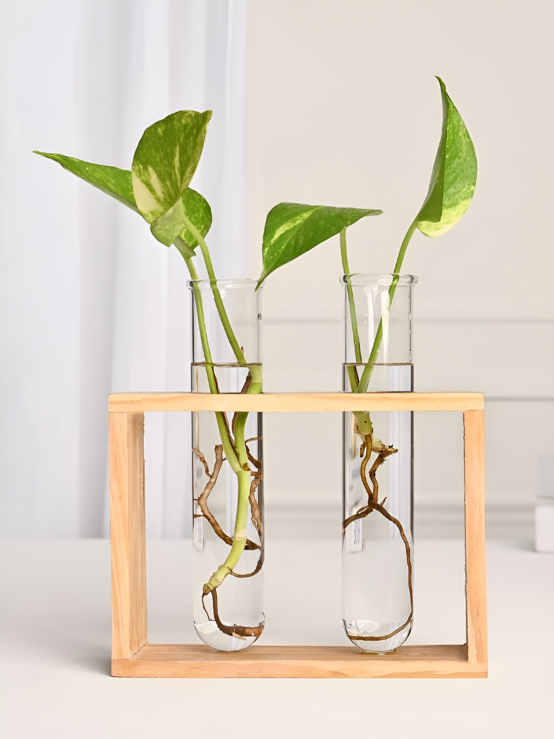

DecorTwist Brown Wooden Glass Test Tube Planter
