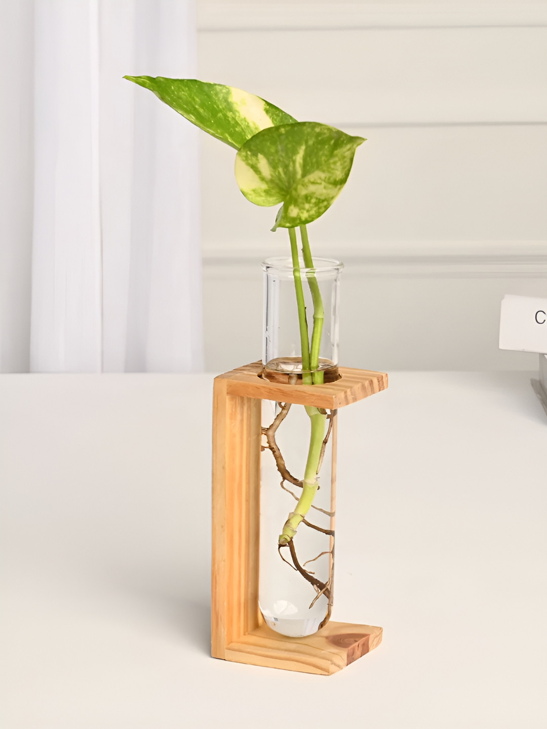 

DecorTwist Brown Wooden Glass Test Tube Planter