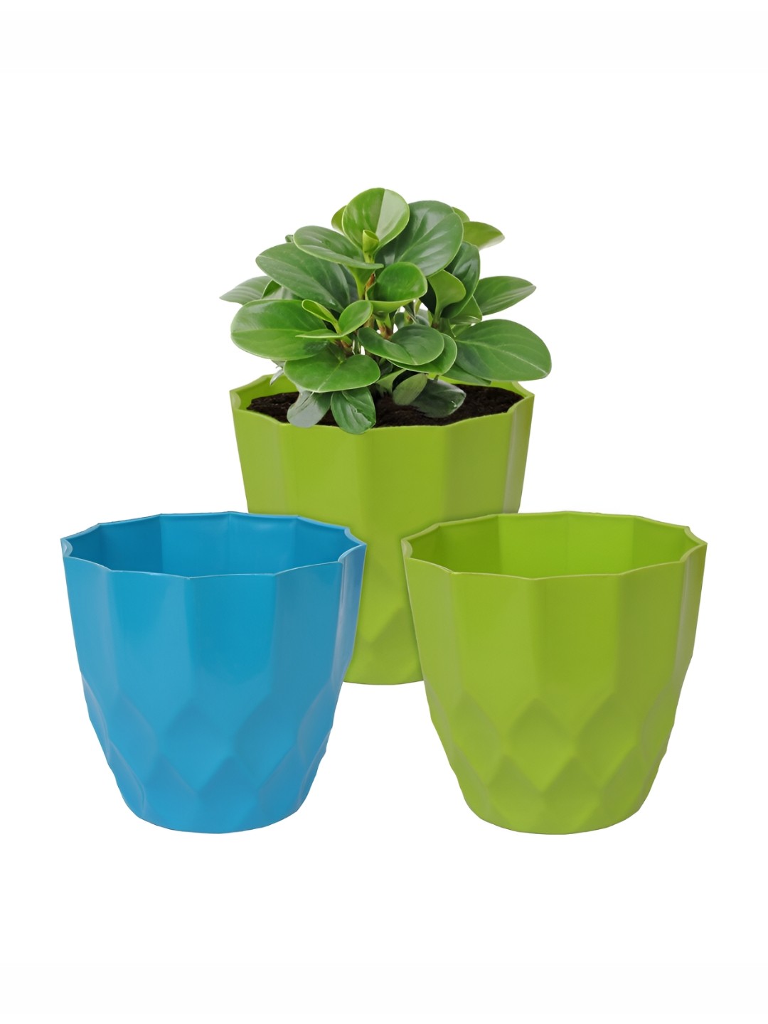 

Kuber Industries Blue & Green 3 Pieces Flower Planters