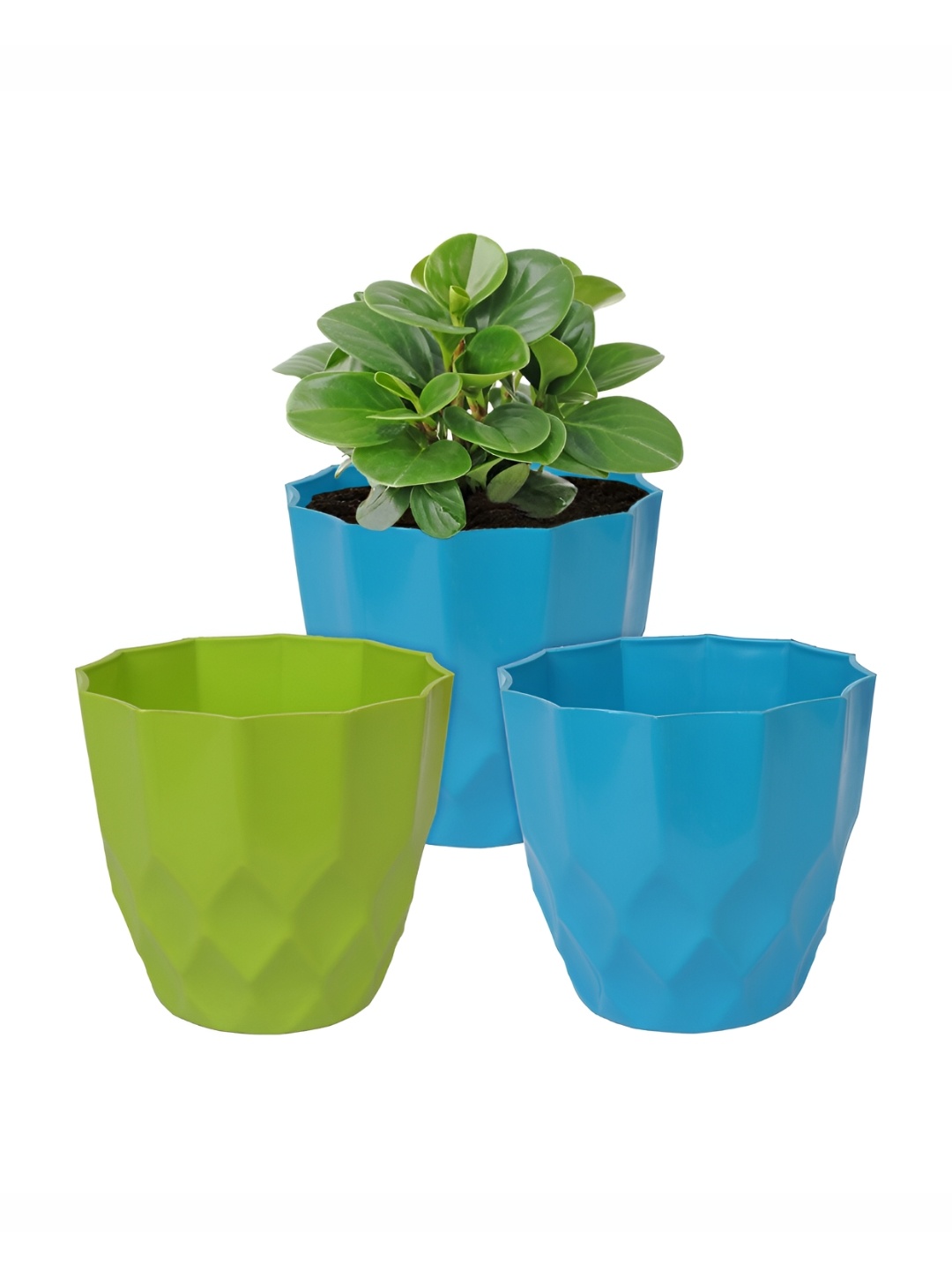 

Kuber Industries Blue & Green 3 Pieces Flower Planters