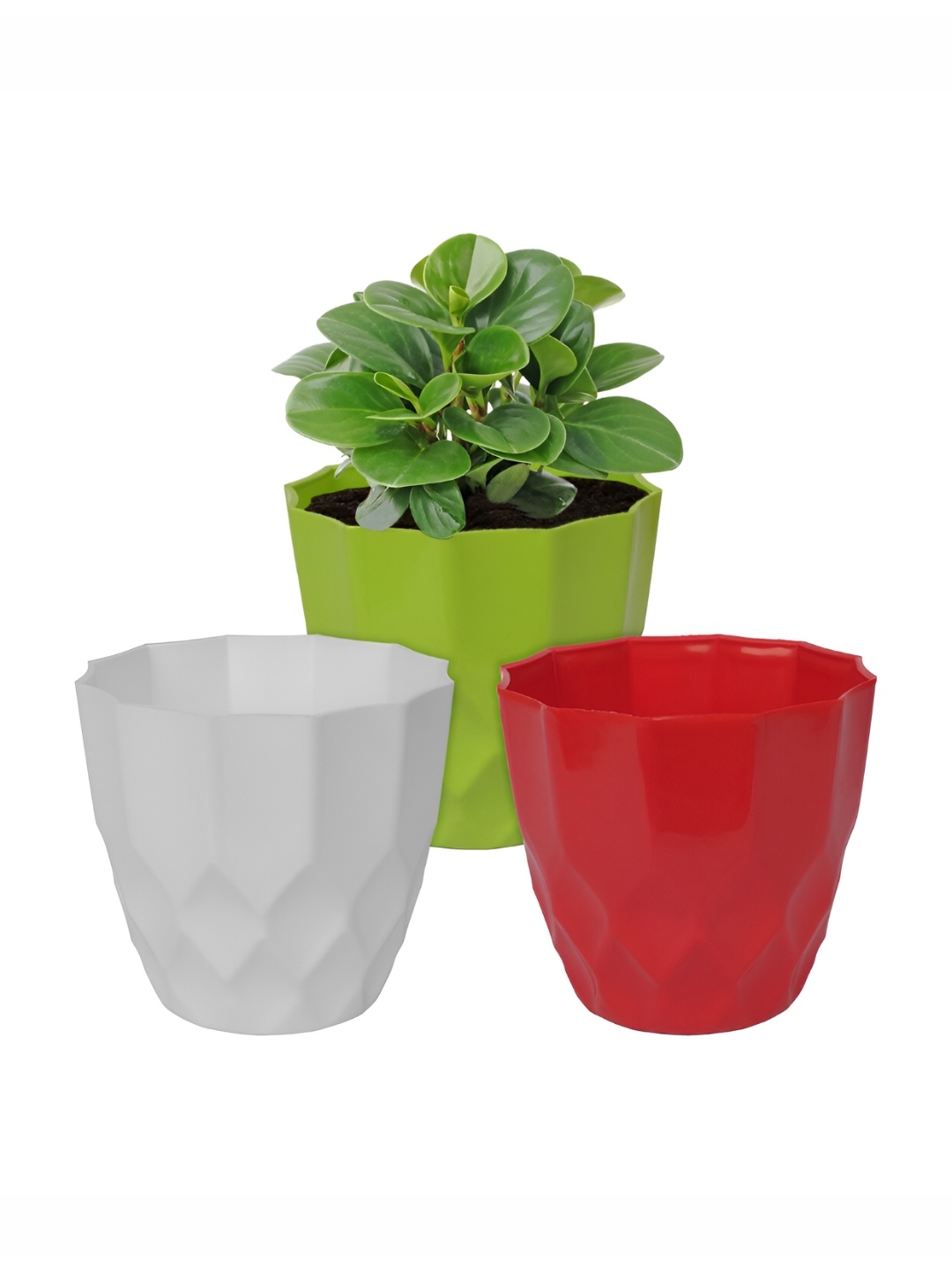 

Kuber Industries White & Green 3 Pieces Flower Planters