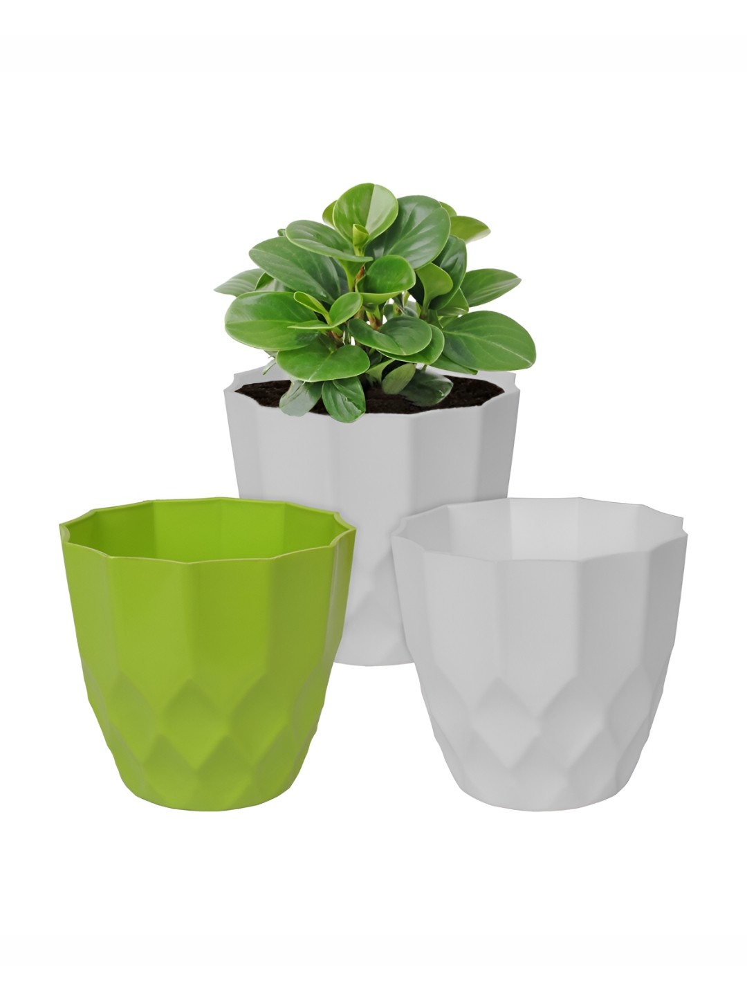 

Kuber Industries White & Green 3 Pieces Flower Planters