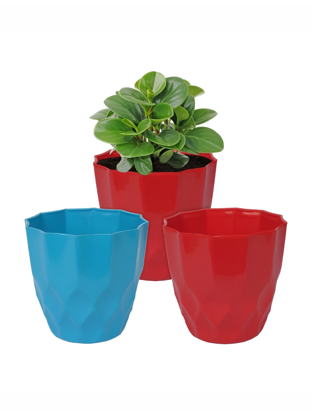 

Kuber Industries Blue & Red 3Pcs Flower Plastic Planters