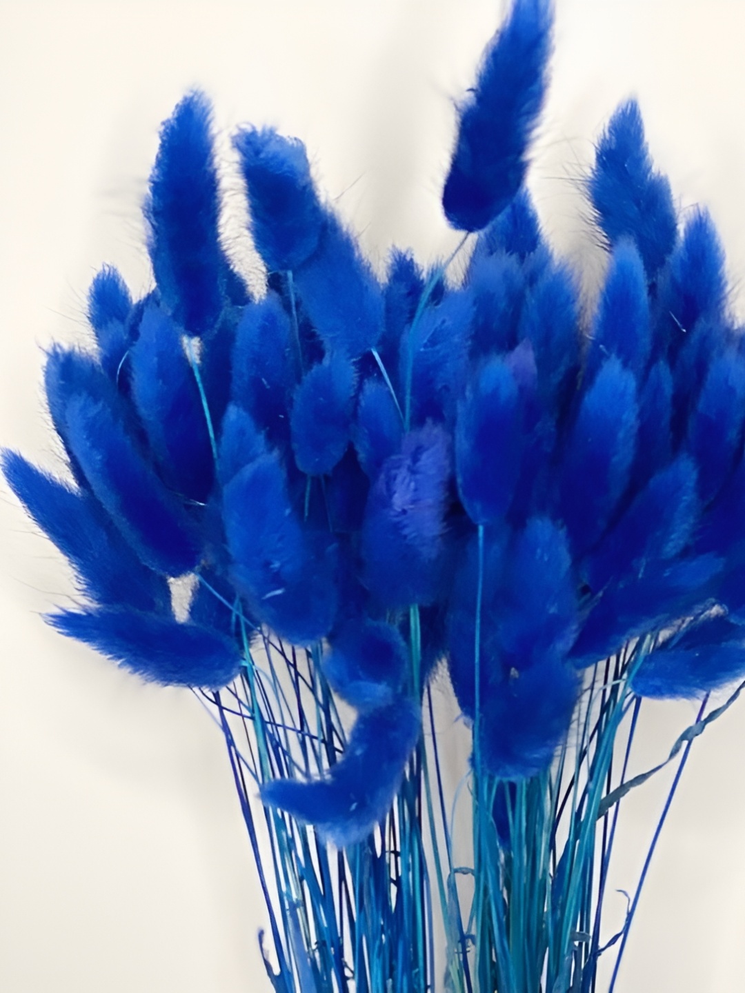 

Artecasa Naturally Dried Blue Bunny Tails, Navy blue