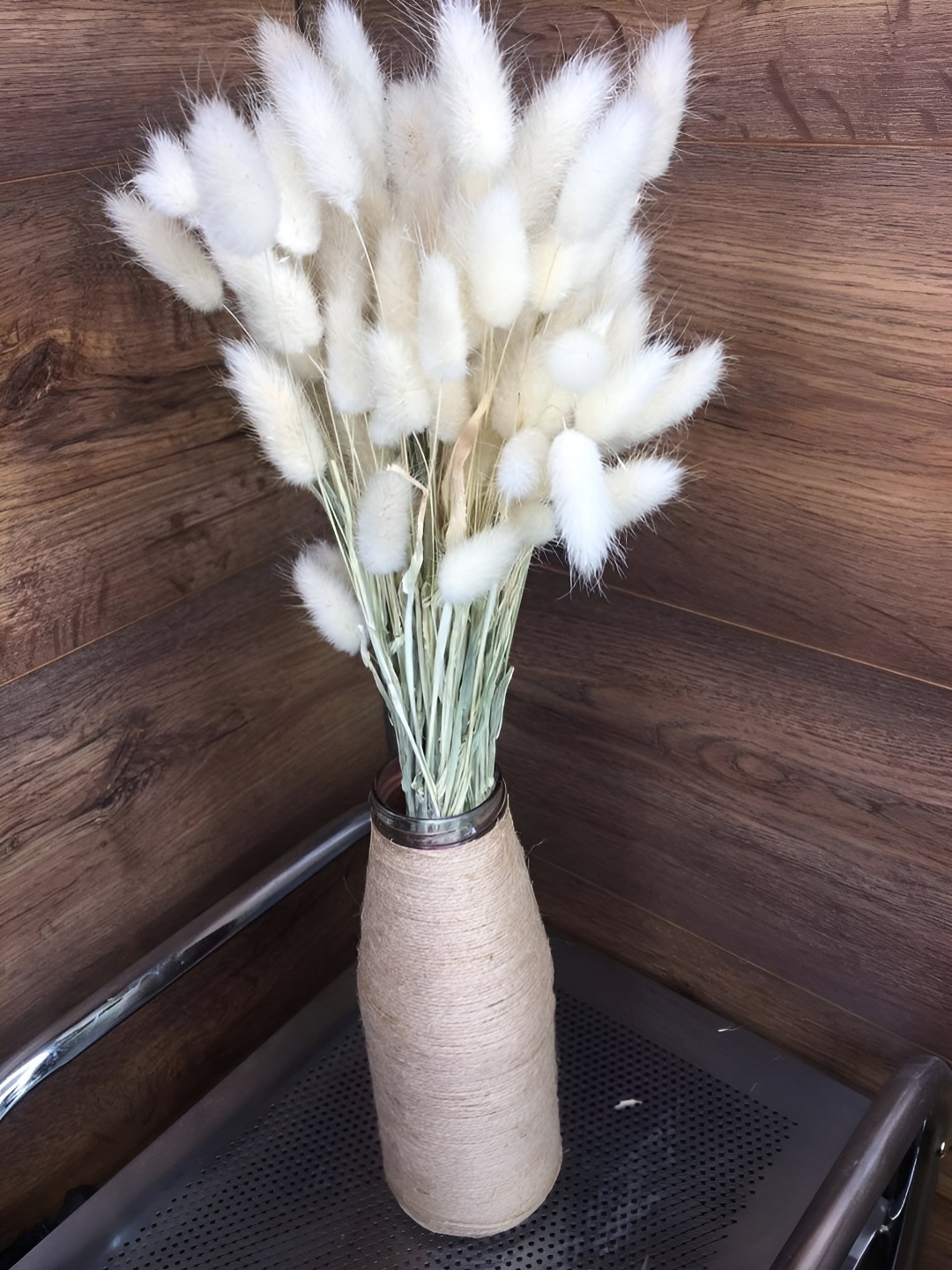 

Artecasa Dried Flower White Bunny Tails