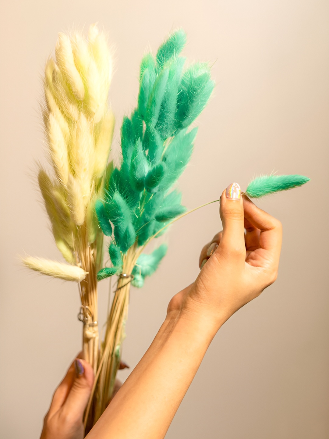 

Artecasa Naturally Dried Dark Mint Green Bunny Tails