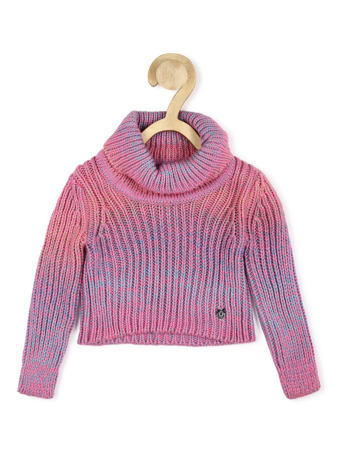 

Allen Solly Junior Girls Open Knit Turtle Neck Acrylic Crop Pullover Sweater, Pink