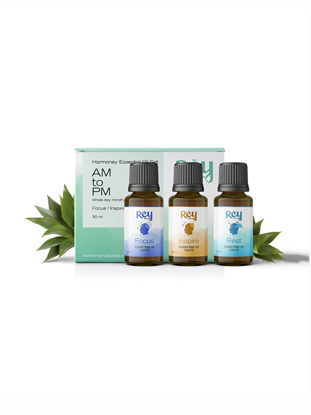 

Rey Naturals Set of 3 Aroma Diffuser Essential Oil Set, Blue
