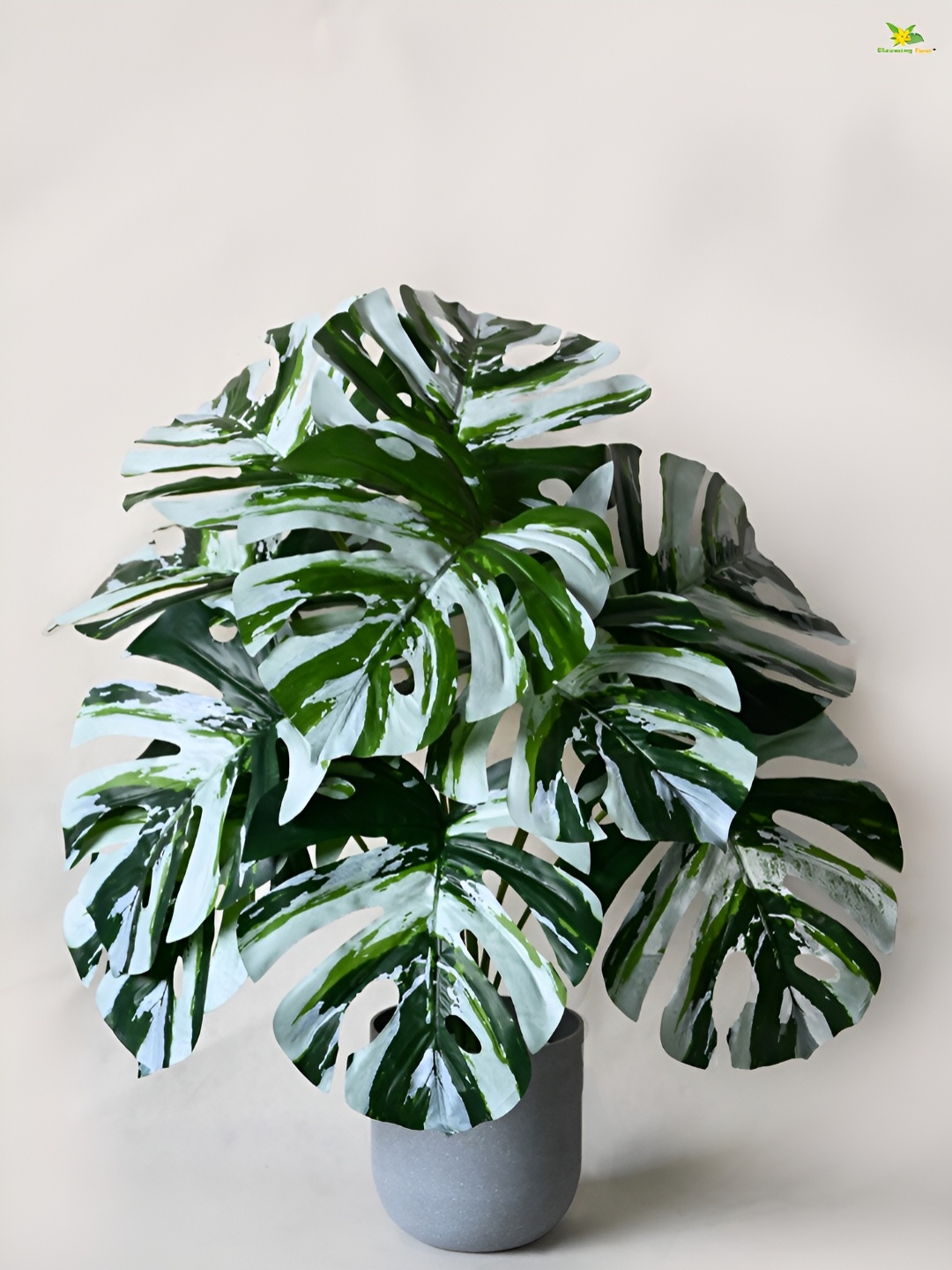 

Blooming Floret Green Monstera Deliciosa Artificial Plant With Pot