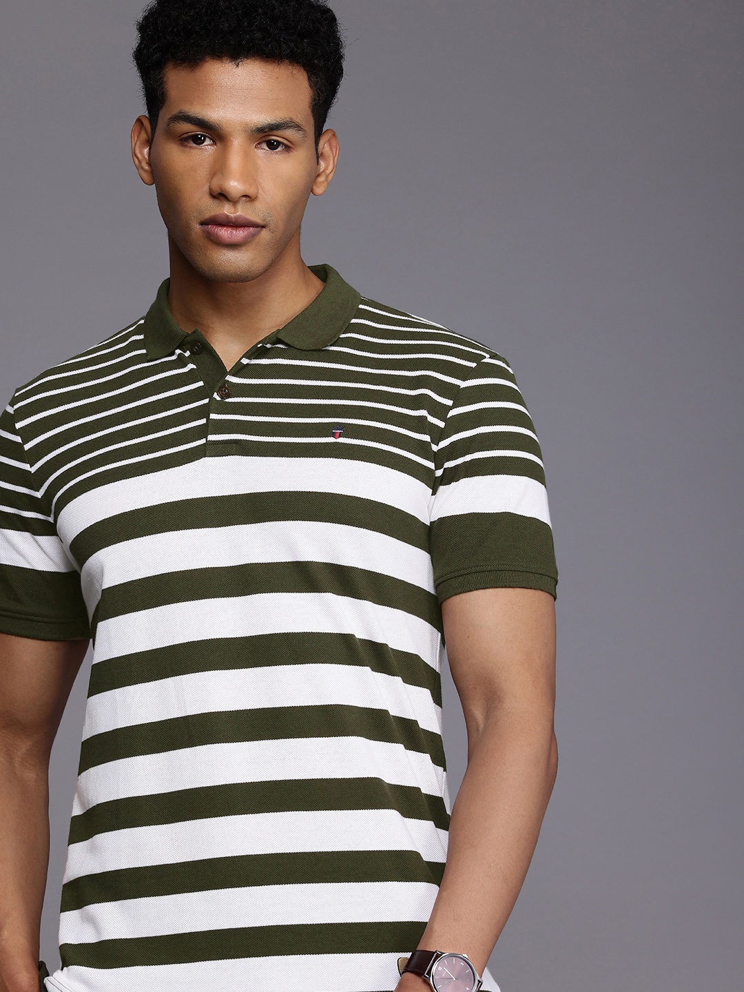 

Louis Philippe Sport Striped Polo Collar Slim Fit T-shirt, Olive